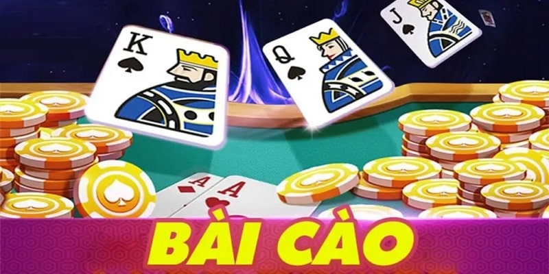 bài cào
