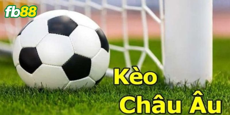 Cách đọc tỷ lệ kèo Châu Âu hiệu quả