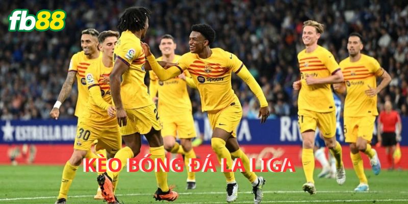 Cố gắng phân tích kèo cược một cách kỹ lưỡng