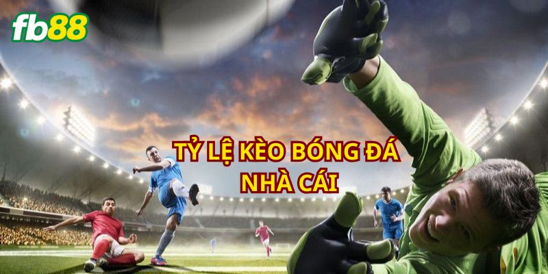 Đừng nên quá tham lam chơi không có kế hoạch