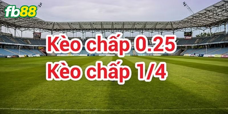 Giới thiệu kèo 1/4 siêu hấp dẫn