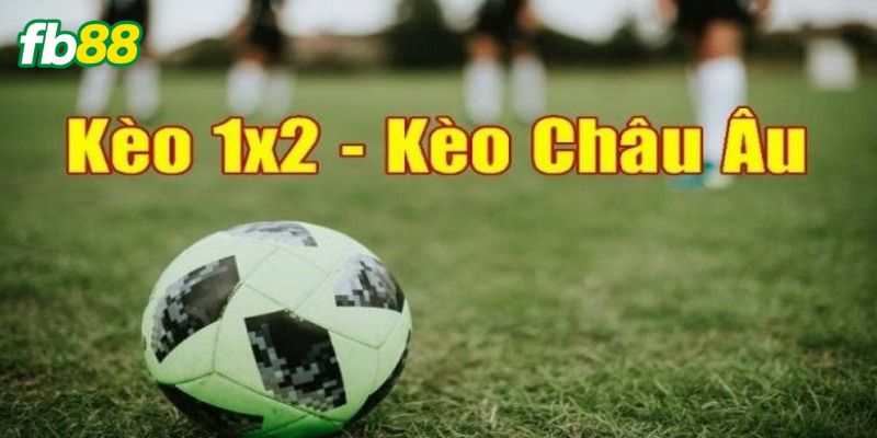 Lưu ý cần biết để trải nghiệm tốt hơn