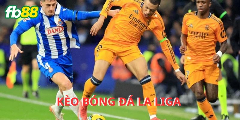 Thu thập thông tin về đội hình và lực lượng thi đấu