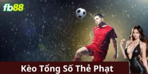Các lưu ý khi chơi Kèo Tổng Số Thẻ Phạt