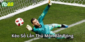 Cách chơi kèo có dễ không?