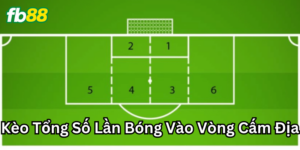 Cách soi Kèo Tổng Số Lần Bóng Vào Vòng Cấm Địa