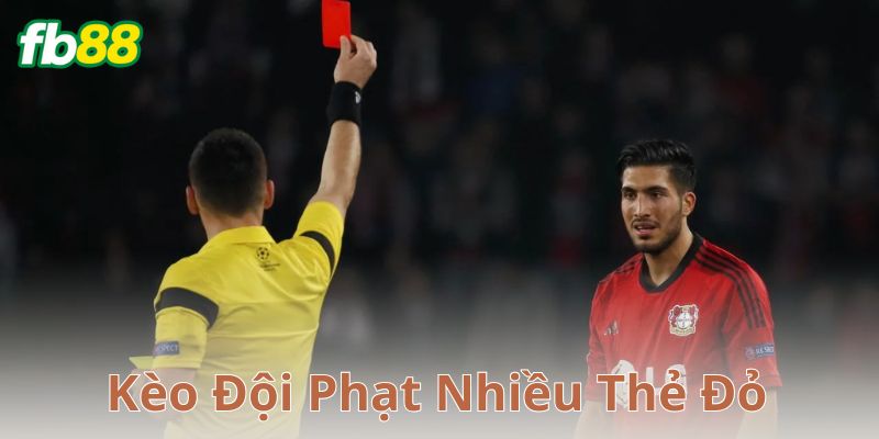 Phân tích lợi thế và rủi ro