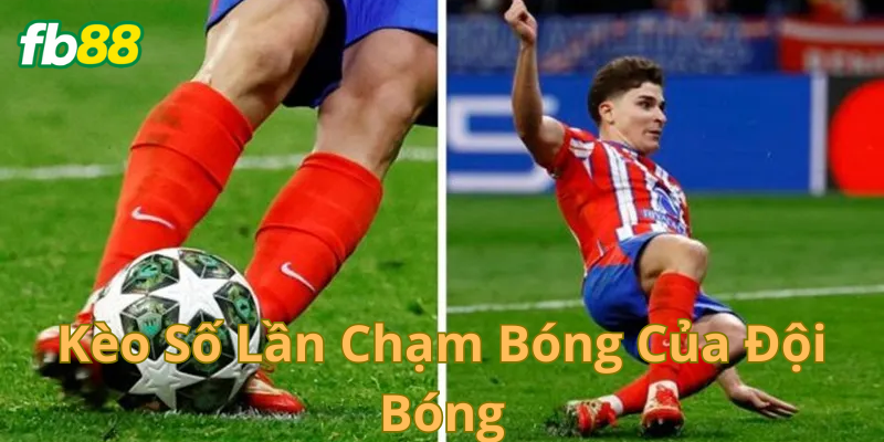 Giải thích định nghĩa