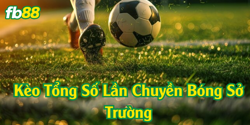 Kinh nghiệm và chiến lược